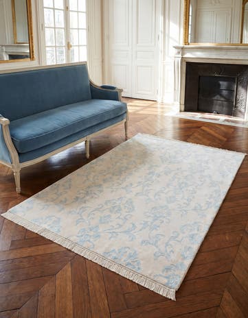 4' x 5' 9 Darya Rug