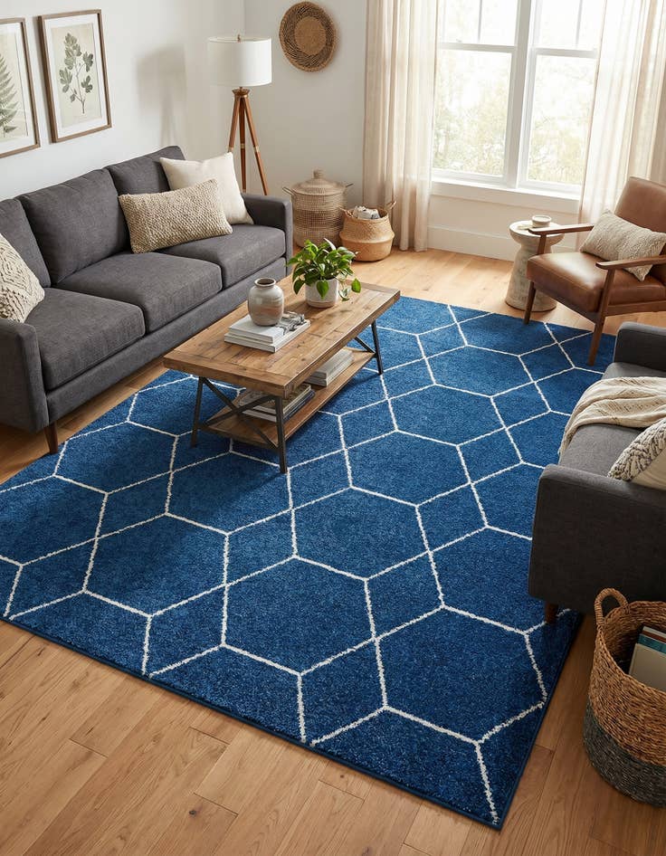 Detail image of 7' 10 x 10' Lattice Frieze Rug