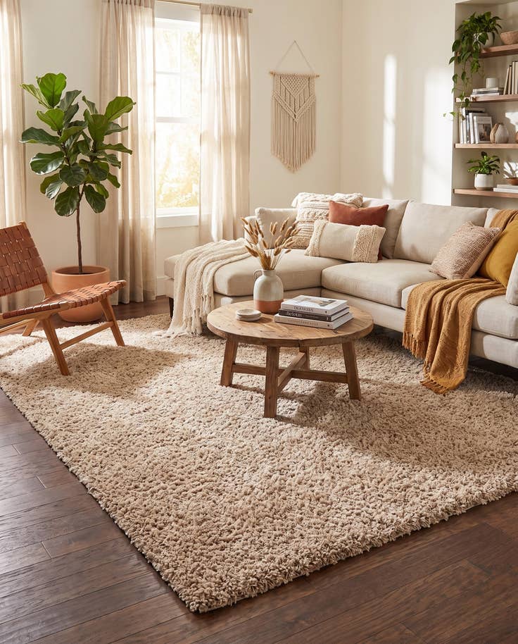 Detail image of 8' x 10' Solid Shag Rug