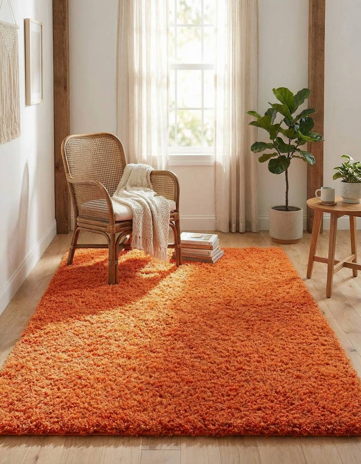 Detail image of 4' x 6' Solid Shag Rug