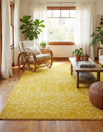 9' x 12' Paxon Trellis Rug