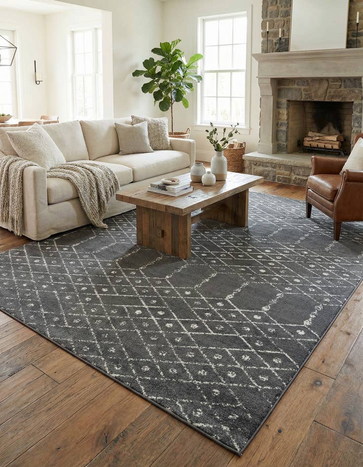 Detail image of 10' x 14' Paxon Trellis Rug