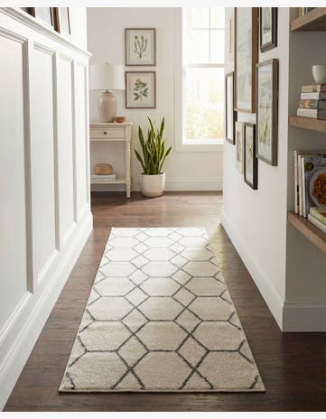 2' x 6' Trellis Frieze Runner Rug