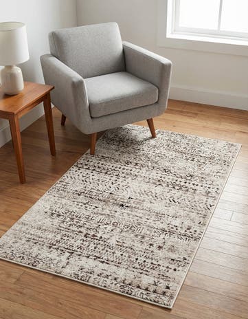 3' 3 x 5' 3 Hermitage Rug