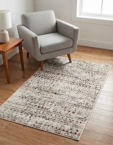 3' 3 x 5' 3 Hermitage Rug