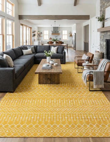 10' 8 x 16' 5 Kasbah Trellis Rug
