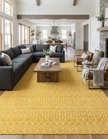 10' 8 x 16' 5 Kasbah Trellis Rug