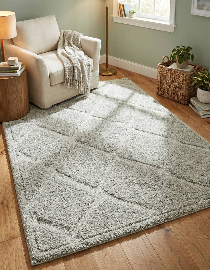 Detail image of 4' x 6' Trellis Shag Rug