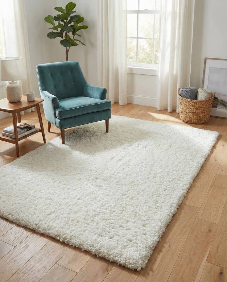 Detail image of 4' x 6' Zermatt Shag Rug