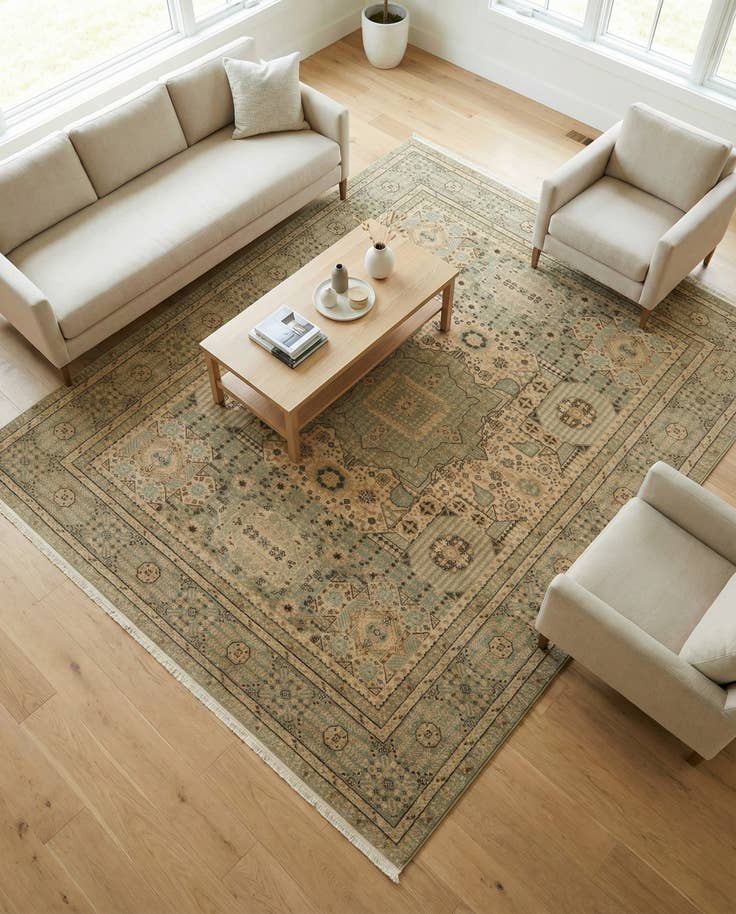Detail image of 7' x 10' Amina Rug
