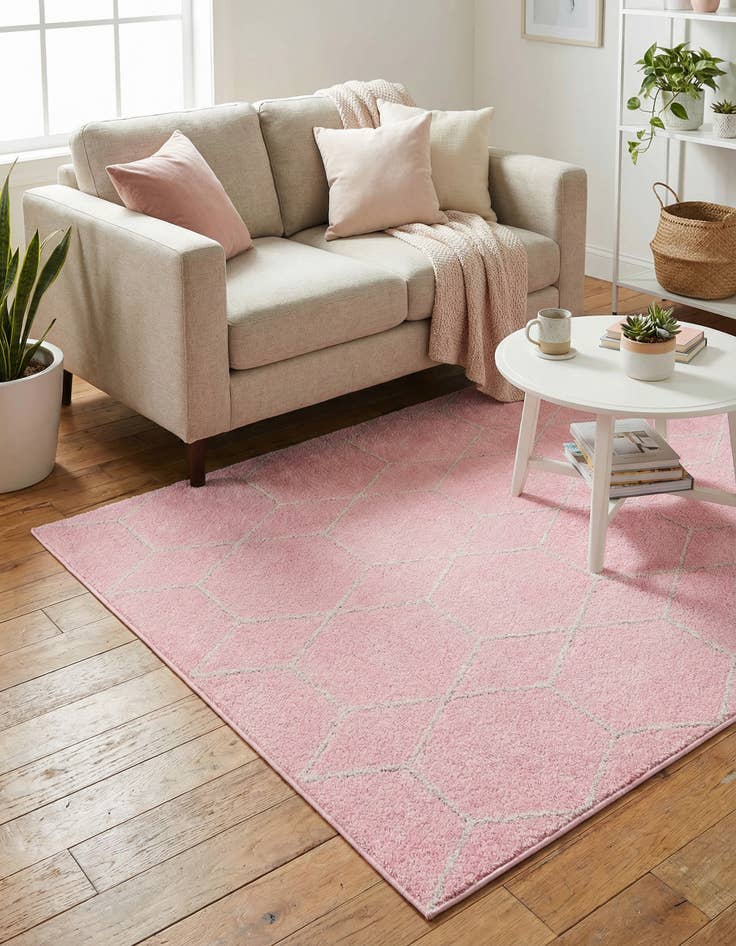 Detail image of  4' x 6' Lattice Frieze Rug