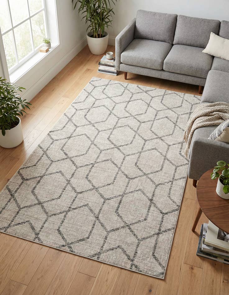 Detail image of 5' 3 x 8' Eco Trellis Rug