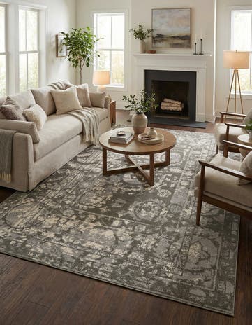 10' x 14' Miranda Rug