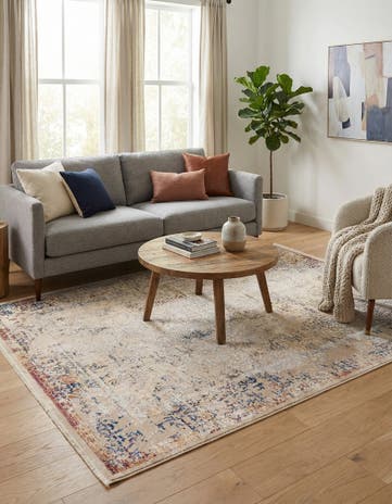 5' 3 x 7' 9 Deepa Rug