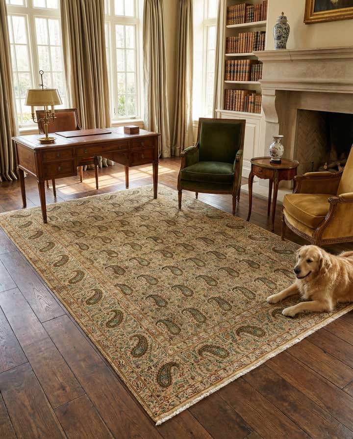 4' 9 x 8' 4 Kerman Rug