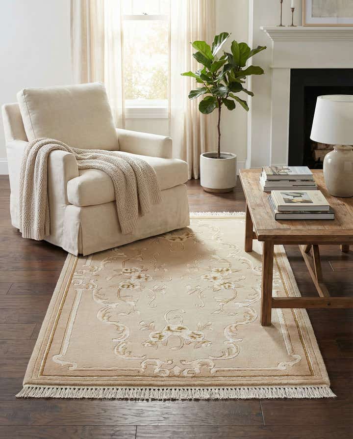 2' 9 x 4' 10 Hand Knotted Darya Wool Rug