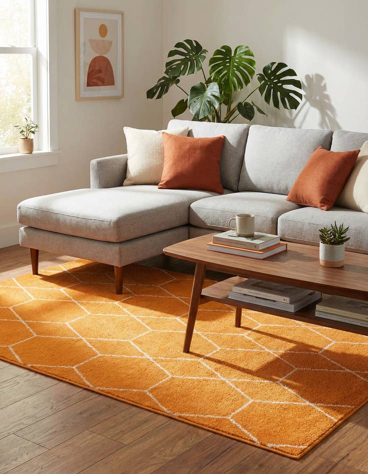 Detail image of  4' x 6' Lattice Frieze Rug