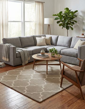 5' 1 x 8' 1 Luna Rug