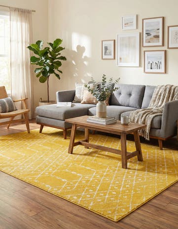 6' x 9' Paxon Trellis Rug