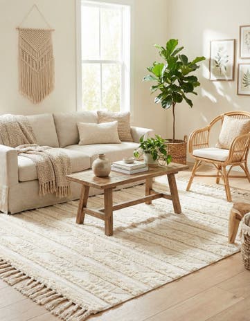 Ivory Hand Woven Arizona Wool Rug