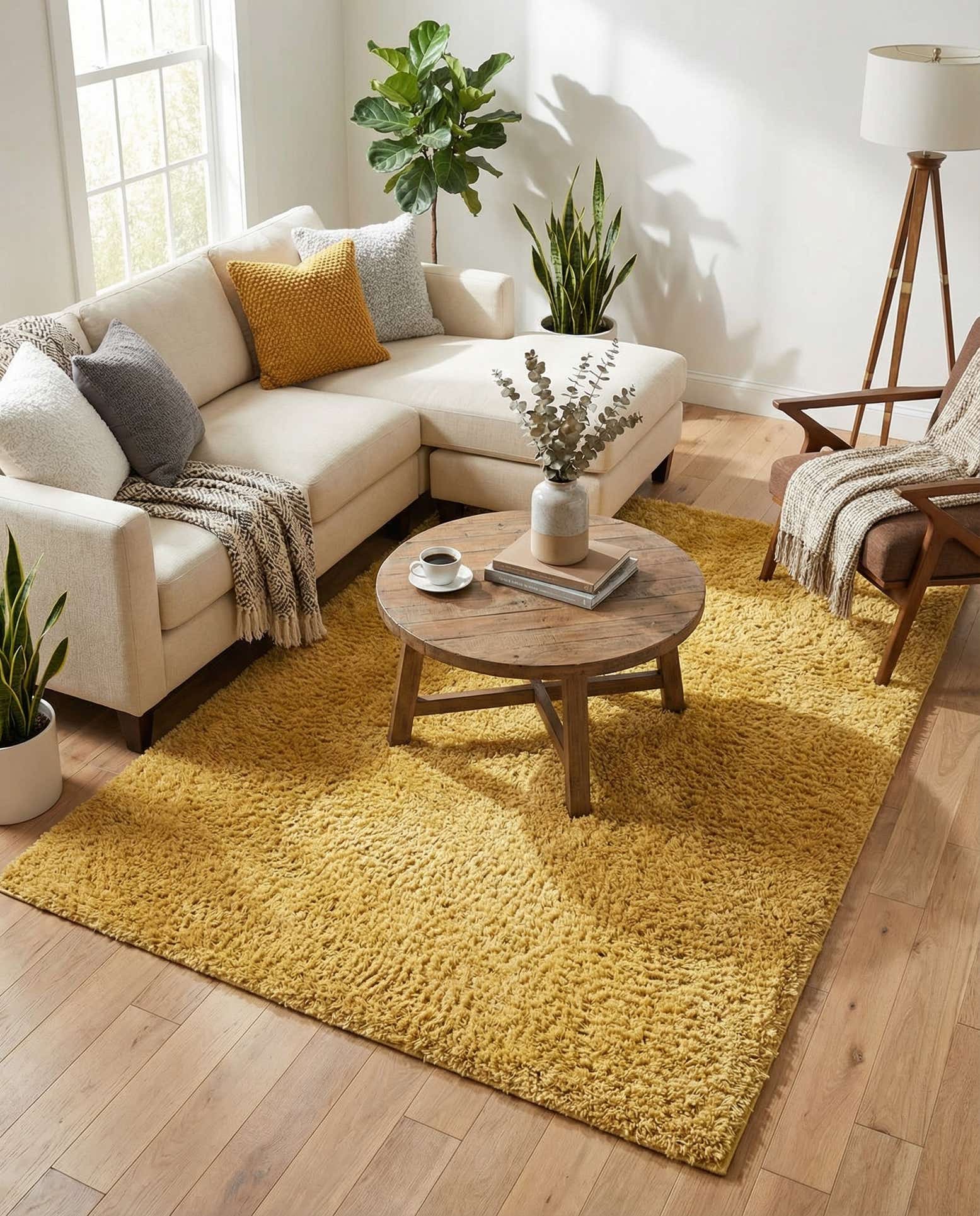 6' x 9' Everyday Shag Rug