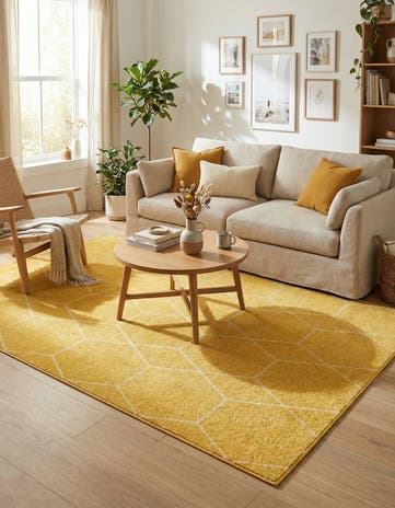 6' x 9' Lattice Frieze Rug