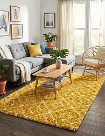 5' 3 x 8' Trellis Shag Rug