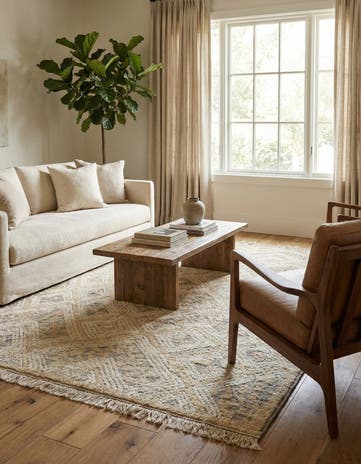 8' 2 x 10' 3 Hand Knotted Darya Wool Rug