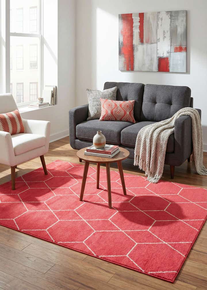 4' x 6' Trellis Frieze Rug