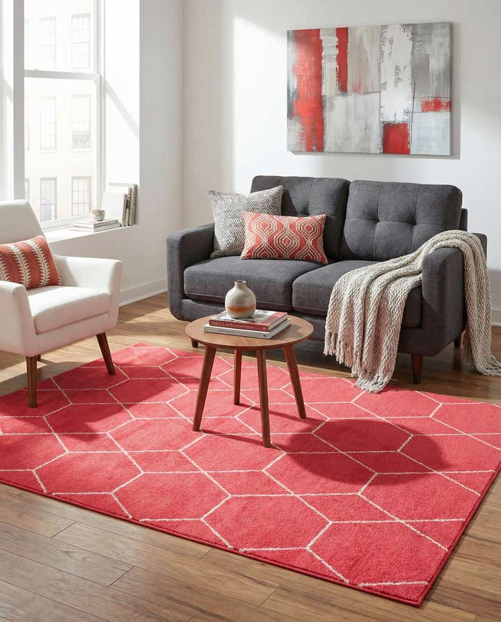 4' x 6' Trellis Frieze Rug