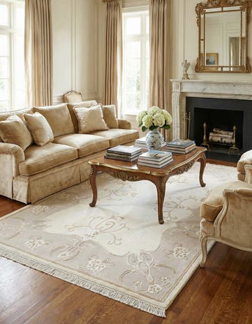 4' x 6' Darya Rug