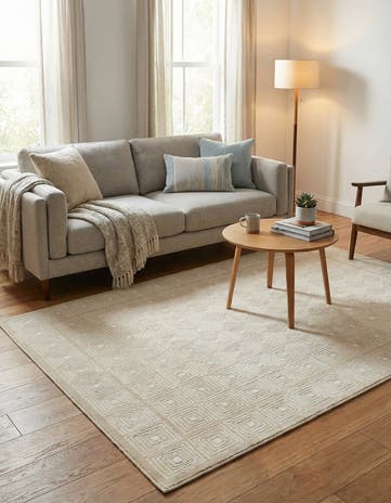 4' x 6' Aakaar Rug