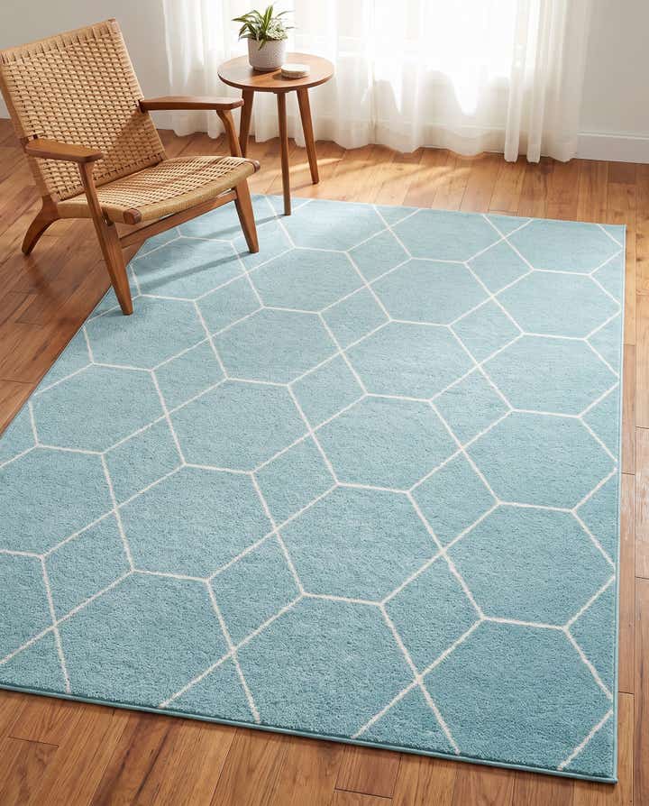 6' x 9' Trellis Frieze Rug