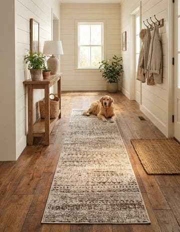 Chocolate Brown Hermitage Runner Rug