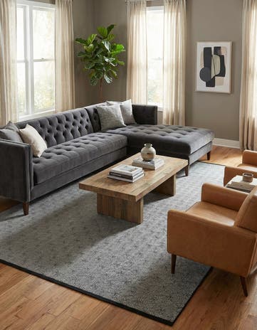 10' x 14' 1 Milano Rug