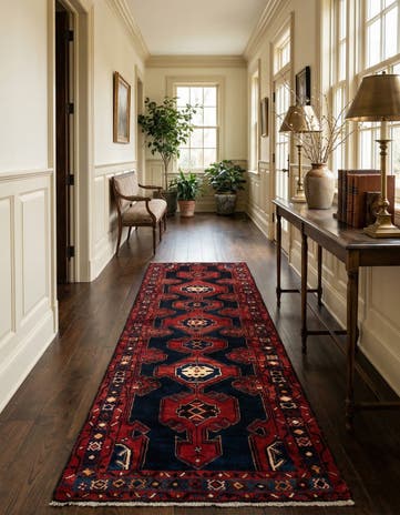 3' 7 x 12' 5 Sirjan Wool Runner Rug
