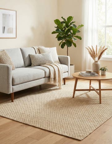 4' x 6' Dunes Rug