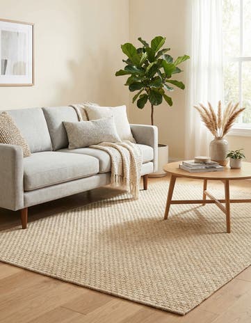 4' x 6' Dunes Rug