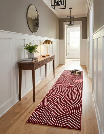 Burgundy Red Aakaar Runner Rug