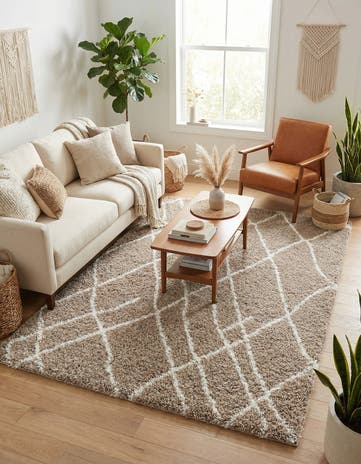 5' 3 x 8' Soft Touch Shag Rug