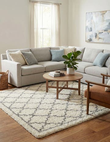 9' x 12' Infinity Shag Rug