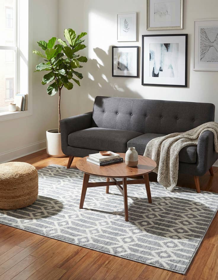 Detail image of 4' x 6' Lattice Trellis Rug