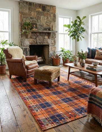 4' 9 x 7' 7 Jajim Rug