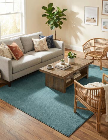 5' 3 x 8' Everyday Solid Rug