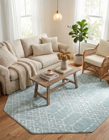 7' 10 x 7' 10 Paxon Trellis Octagon Rug