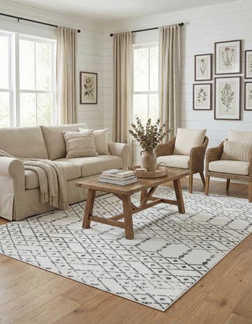 6' x 9' Paxon Trellis Rug