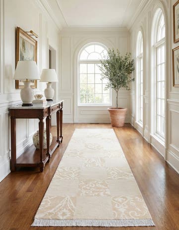 2' 8 x 10' 2 Darya Runner Rug