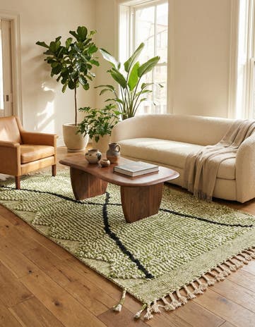 4' x 6' 7 Hand Knotted Moroccan Wool Rug