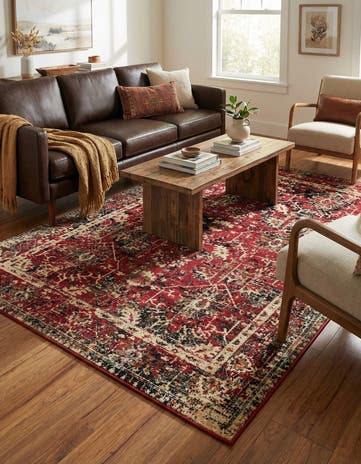 5' 3 x 8' Saturn Rug