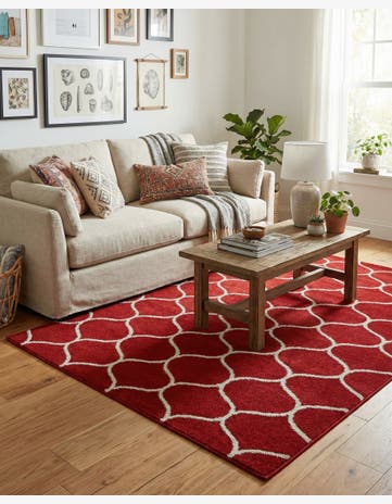 4' x 6' Trellis Frieze Rug